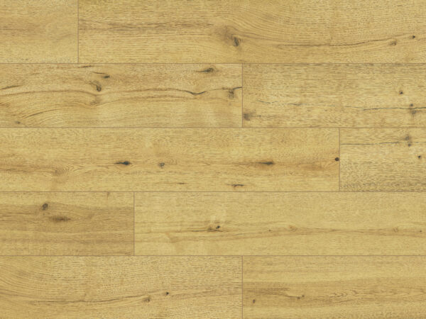 Canyon Oak Brown