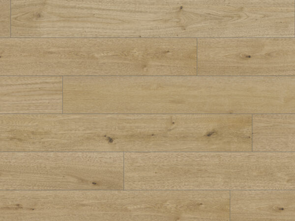 Silk Oak Brown